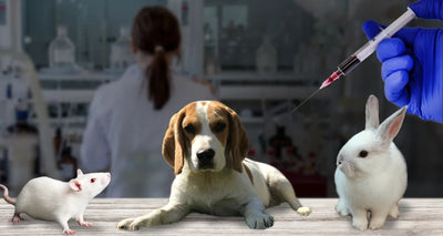 Os testes laboratoriais em animais precisam ter um fim. Veja como!