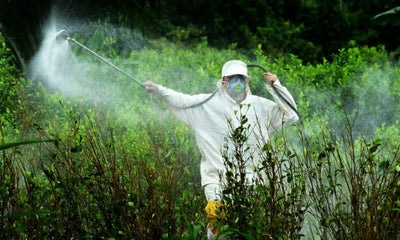 Conheça a solução sustentável que elimina os resíduos dos pesticidas que contaminam a água