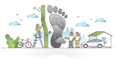 Créditos de carbono: uma alternativa para reduzir a pegada de carbono