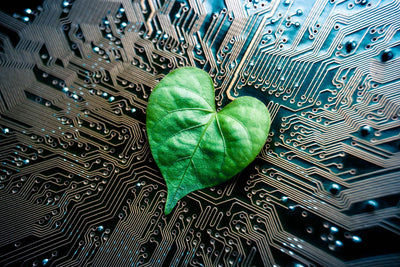 Conheça a eletrônica orgânica, a revolução da tecnologia sustentável