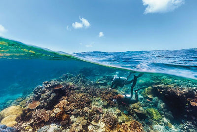 10 ameaças que o bioma marinho vem sofrendo devido à ação humana. Salve seu planeta!