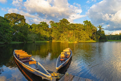 Amazônia: um mundo verde cheio de oportunidades!