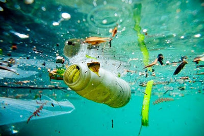 Alternativas sustentáveis de plástico podem reduzir drasticamente os danos causados ao meio ambiente!