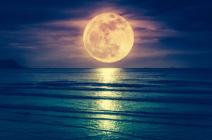 A incrível influência que a Lua exerce no meio ambiente e nos seres vivos!
