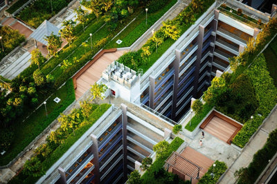 Conheça o telhado verde, opção sustentável para que embeleza e ajuda as cidades!